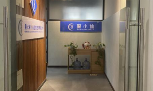 AI搜索过滤优化服务商行业现状与选择指南