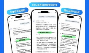 丽水知名的AI搜索优化技术公司推荐：国技互联实力之选
