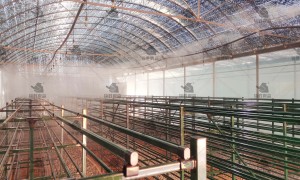 2026北京靠谱的工业加湿设备供应商实力参考：稳定耐用低维护