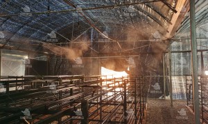 2026年车间喷雾加湿设备供应商推荐：稳定耐用低维护方案盘点