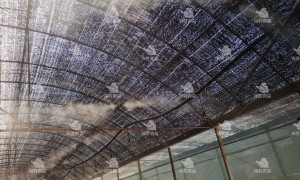 2026年热门的工业高压雾化加湿设备厂家选购参考汇总