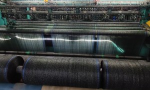 2026年种羊肚菌专用遮阳网制造厂家有哪些 挑选全攻略