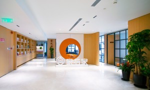 上海财产分割律师哪家可靠：靠谱商家测评排名