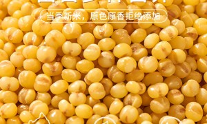 2026年品质好的大包装优质杂粮生产厂家客户口碑力荐