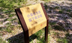 齐程标牌满意度怎么样，合作靠谱吗