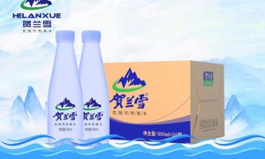宁夏企业商务用水定制 贺兰雪山泉 500ml一件代发 免费设计瓶身广告