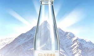 2026年企业定制瓶装水服务商口碑推荐，宁夏贺兰雪源头甄选实力参考