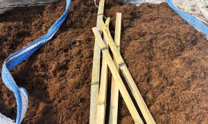 内蒙科右前旗动物中央厨房器具厂家行业现状与实务选择参考