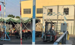 2026年评价高的叉车培训学校 行业现状与选择指南