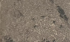 浙江嘉善正规的得嘉地板源头厂家，合作实力参考