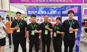 2026年资质齐全的压片糖果ODM源头厂家推荐：实力与用户口碑