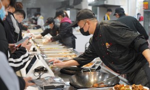 能城轨的学校专业实力与用户口碑深度解析