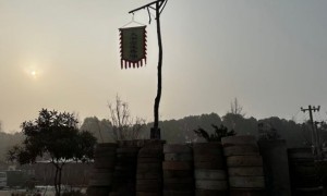 河南源头甄选的芝麻香油专业厂家无添加芝麻香油供货商选择指南