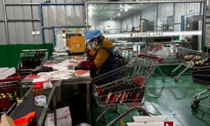 正宗芝麻香油供应商靠谱商家测评排名：天中古味合作案例实力盘点