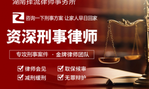 聂昭洪律师评价靠谱吗