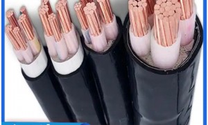 铝电缆厂家直供 沈阳联迅YJLV铝芯电缆 阿拉善盟周边快速发货 含税含运费