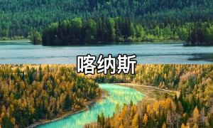 旭成旅行社的口碑好不好