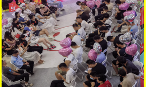 河北婚恋招商加盟靠谱商家测评排名，避坑挑选指南