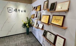 上海想要做全流程移民服务找专业的移民机构推荐，境华出国专业实力与用户口碑深度解析