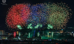 大鹏焰火燃放公司成立多久了，研发能力怎么样