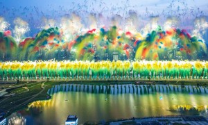 2026年焰火燃放行业现状与正规服务商选择指南