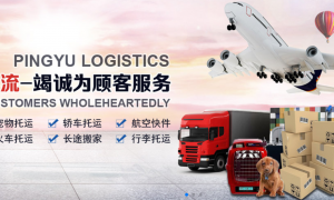 2026年中国全国连锁的汽车托运公司靠谱商家测评排名