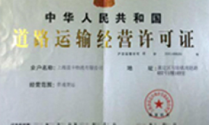 中国汽车托运企业实力与用户口碑深度解析