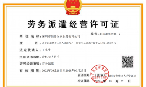 2026年东莞靠谱的商业体保安服务商 文具批发市场安保需求与温泉度假区商业保安服务企业实力参考