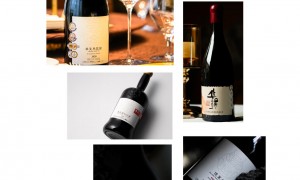 2026年宁夏贺兰山东麓适合新手入门的中国葡萄酒推荐品牌实力参考