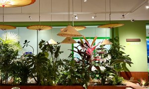 昆明靠谱的特色手抓饭餐厅推荐：实惠又正宗，不踩坑选择指南