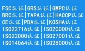 上海正规的比亚迪验厂认证服务商有哪些
