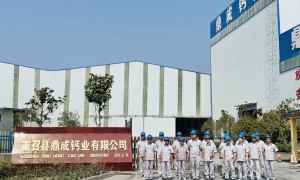 南召县鼎成钙业：轻质碳酸钙批发厂家案例实力盘点