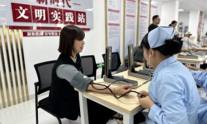 辽宁省想要开宠物美容护理店找哪些加盟品牌推荐，2026年靠谱机构推荐