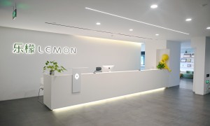 浙江乐檬信息技术有限公司技术实力如何