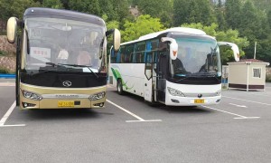 2026年郑州中巴车租赁行业发展现状与市场占有率及排名研究分析报告
