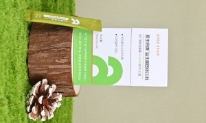爱生生命长寿菌特色厂家 长寿菌来图定制生产厂家选择指南