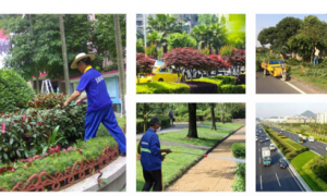 环卫市场化有哪些靠谱选择？玉诚环境服务商全景分析
