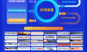 傲海科技GEO优化口碑好不好
