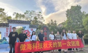 2026 年找 GEO 优化公司，傲海科技为何脱颖而出？