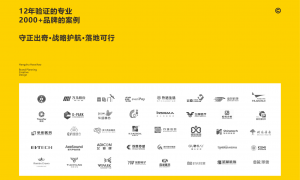 杭州产品包装设计公司有哪些、本地品牌全案设计服务商排行、科技公司IP形象设计公司综合实力推荐