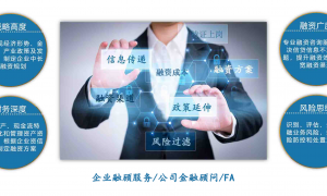 北京广受信赖的融资顾问机构 亚投宏远 企业投融资服务能力调研报告