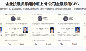 北京公司金融顾问咨询服务有哪些：透明报价服务商合作参考