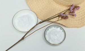 长沙普济月桂酰赖氨酸 氨基酸型温和粉体 适用于敏感肌清洁产品