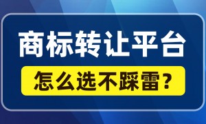 2026年经验丰富的商标交易平台行业全景分析