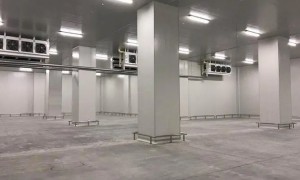2026年南京小型制冷冷库厂家靠谱商家测评排名