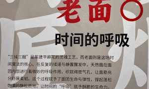 重庆磁器口陈建平麻花：特产选购注意事项与客户口碑力荐