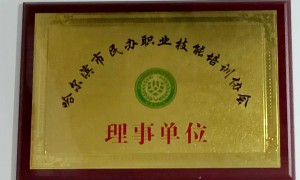 哈尔滨靠谱的AI漫剧培训学院推荐