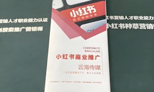 2026年北京地区小红书账号运营靠谱服务商有哪些