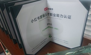 2026年靠谱的小红书推广哪家口碑好服务商行业观察与实务选择参考