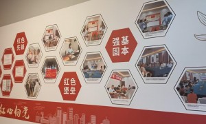 安徽尚沣园黄精茶适合长期喝吗？2026年调理养生茶选购指南与品牌推荐